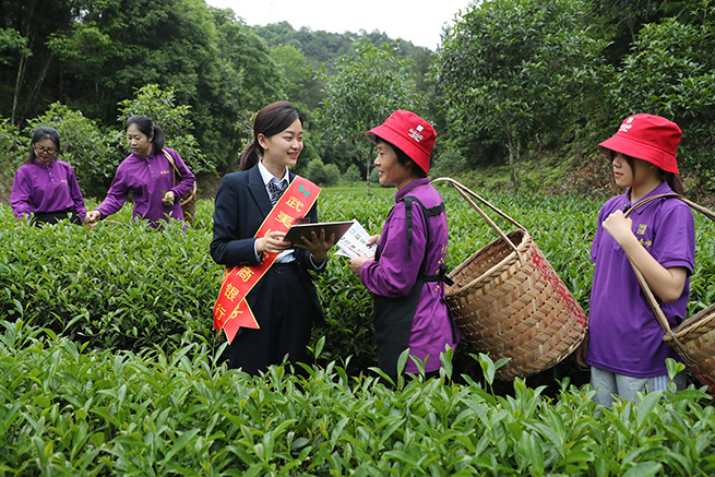 武夷山農(nóng)商(shāng)行助力茶産業發展